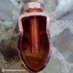 کلمپ انگشتی میله ارت